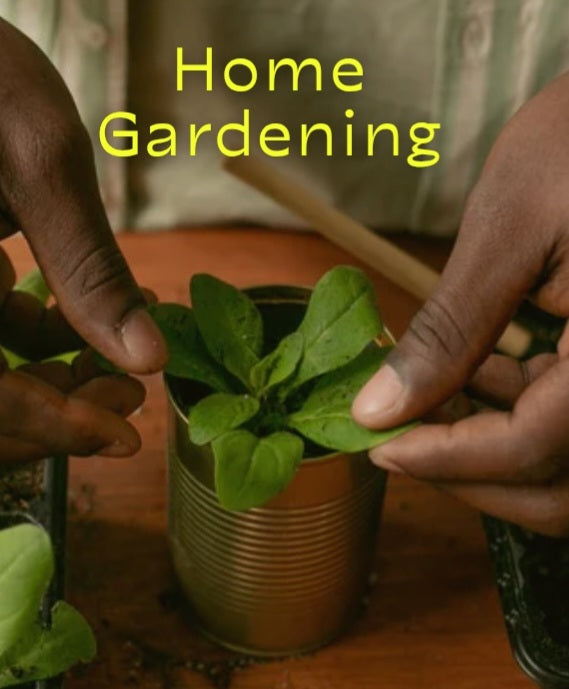 Home Gardening