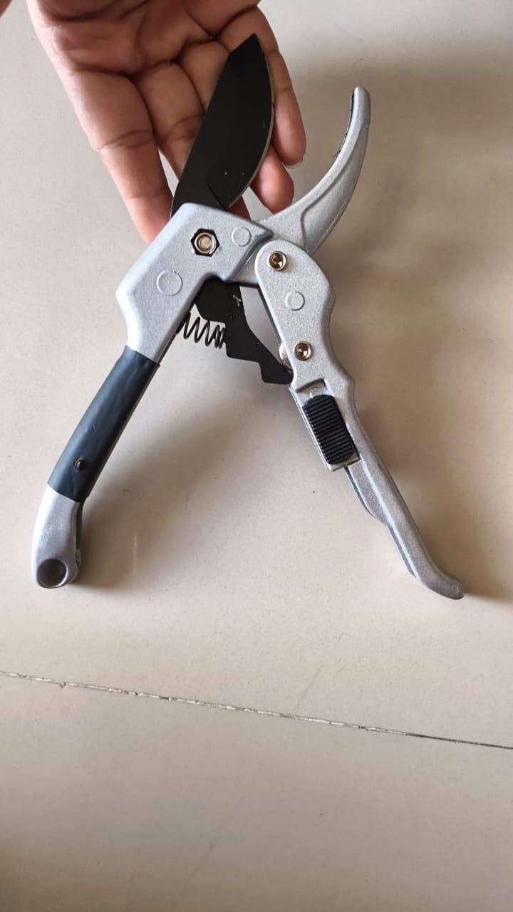 Pruning Shears